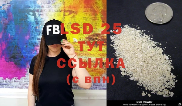 прущие грибы Балашиха