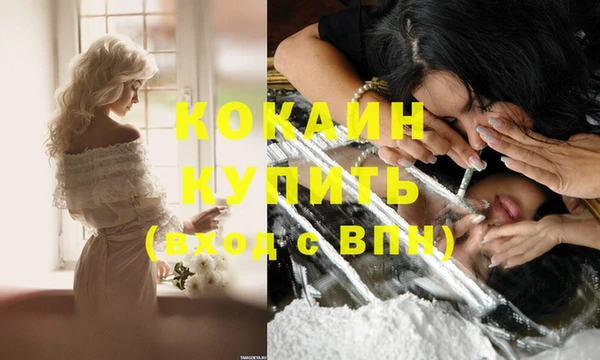 прущие грибы Балашиха