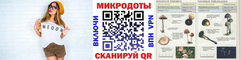 Купить закладки  Полярный  Галлюциногенные грибы GOLDEN TEACHER 